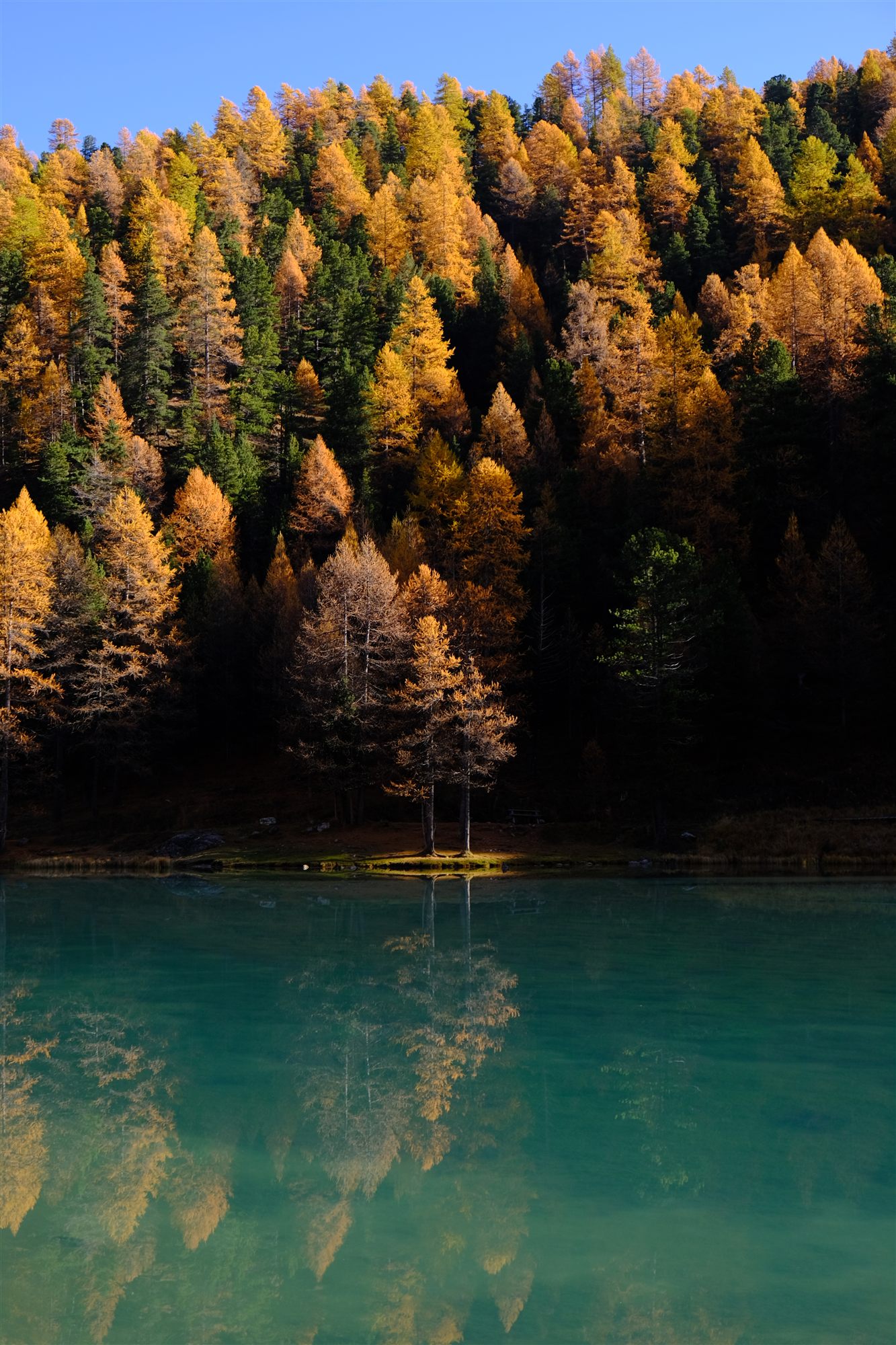 Une forêt aux couleurs d'automne au bord d'un lac turquoise